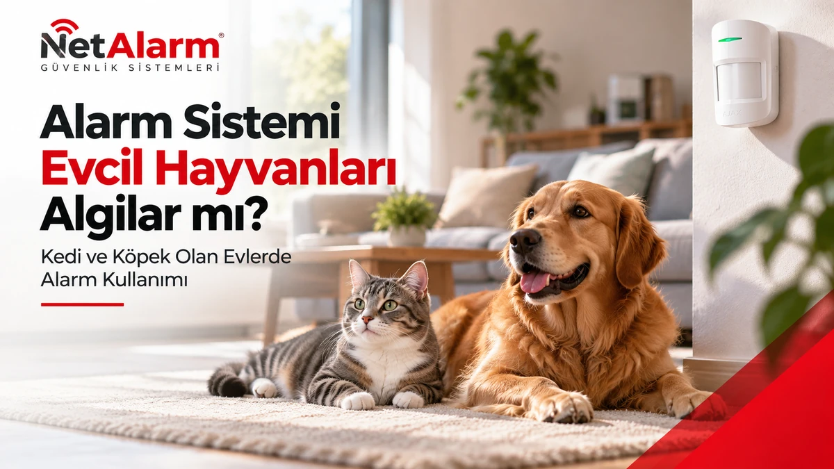 Evcil hayvan bulunan evde alarm sistemi ve hareket dedektörü